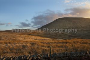 road to downham from barley 4.jpg